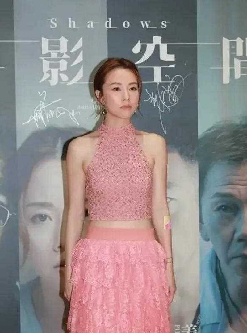 龙应台在港大演讲 龙应台在港大演讲
