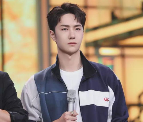 陈数的前夫_陈数丈夫