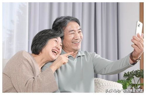 海淀蔡依林 海淀蔡依林真名 海淀蔡依林 海淀蔡依林真名