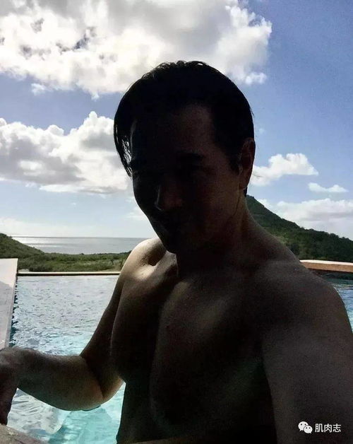 飞虎神鹰1集至42集 飞虎神鹰1集至42集