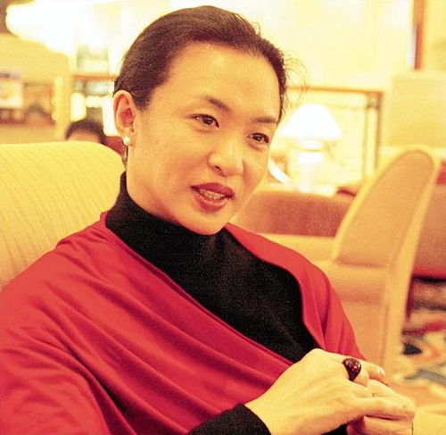 高圆圆的档案(高圆圆档案资料) 高圆圆的档案(高圆圆档案资料)