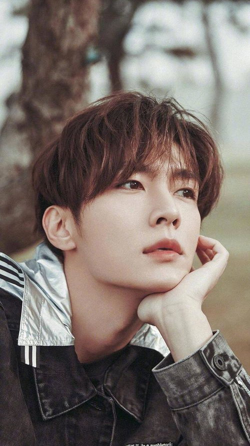 杨佑宁天龙八部演员表