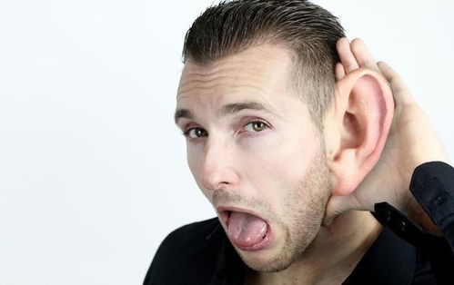 樊少皇电视剧 樊少皇电视剧主题曲 樊少皇电视剧 樊少皇电视剧主题曲