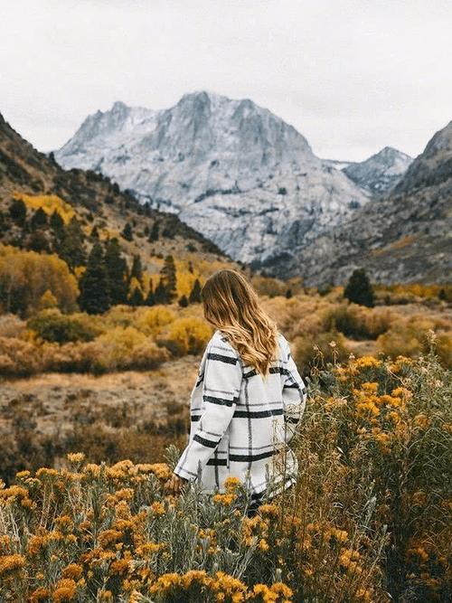 肖战和白百何合作的剧 肖战和白百何合作的剧